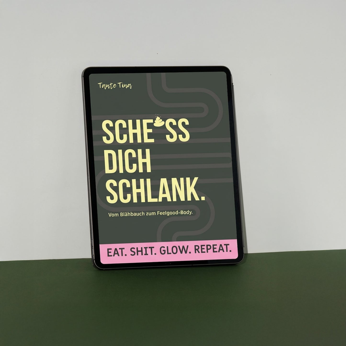 Sche*ss dich schlank - E-Workbook